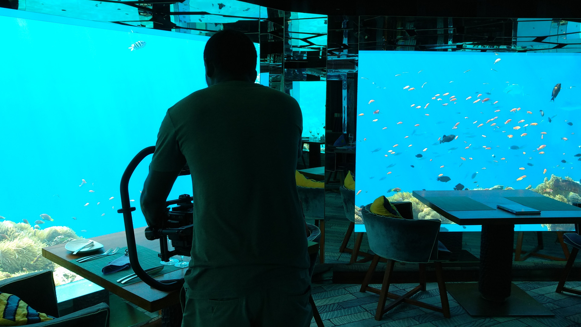 Cephei Visuals Studio Image 4